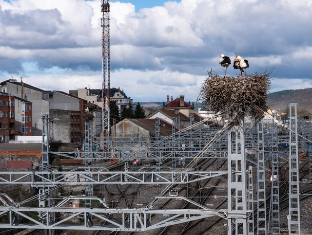 Egy hatalmas fészken álló fehér gólyapár, nagy ágakkal a Monfor vasútállomás bejáratánál, a vasúti felsővezeték oszlopának tetején. - Fotó, kép