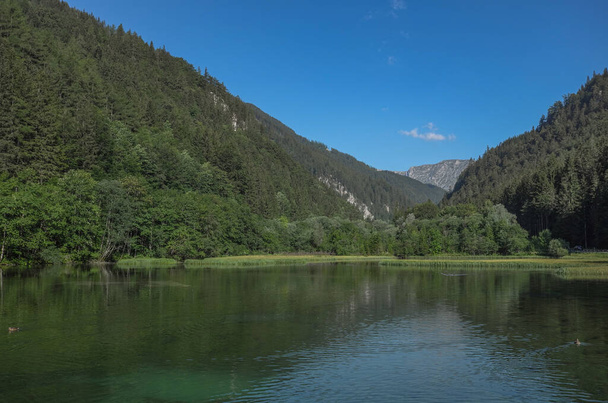 beautiful landscape with a river and a lake - Zdjęcie, obraz