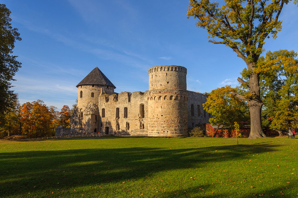 Κάστρο στο cesis - Φωτογραφία, εικόνα