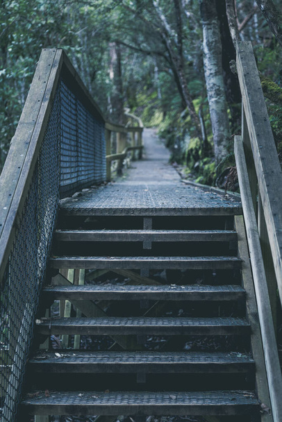 old wooden bridge in the forest - 写真・画像