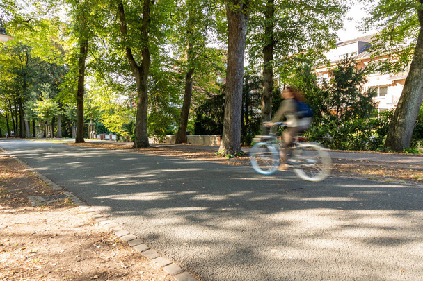young man riding bicycle in the park - Fotó, kép