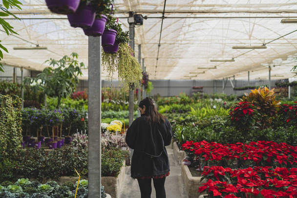 nuori nainen, jolla on kasveja kasvihuoneessa - Valokuva, kuva