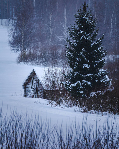 wooden house in the snow in winter - Foto, afbeelding