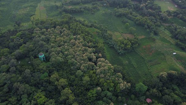 Вид с воздуха на поле и деревья - Фото, изображение