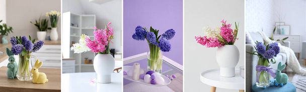 Collection of fresh hyacinth flowers in vases in interiors of room - Фото, изображение