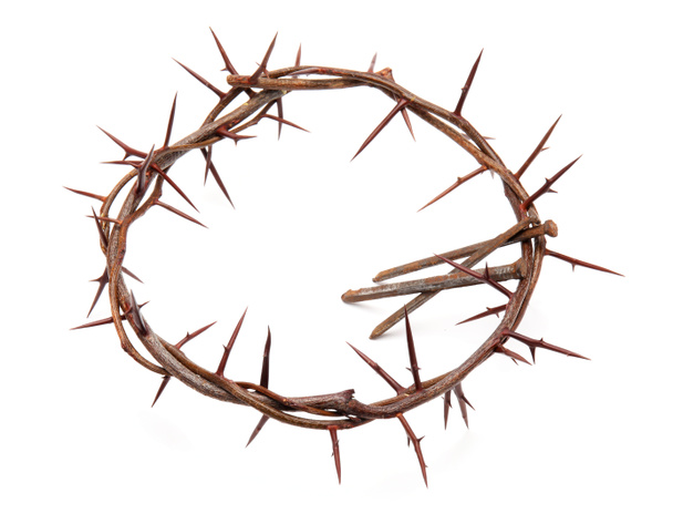 Crown of thorns with nails on white background - Photo, Image