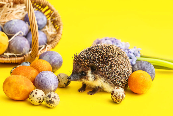 Funny hedgehog with basket, Easter eggs and flowers on yellow background - Photo, Image