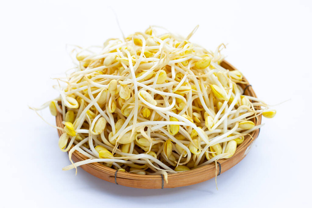 Fresh soybean sprouts for cooking. - Photo, Image