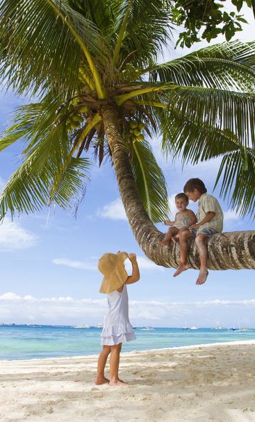 three children - boy and girls - sitting on palm tree on tropica - Photo, Image
