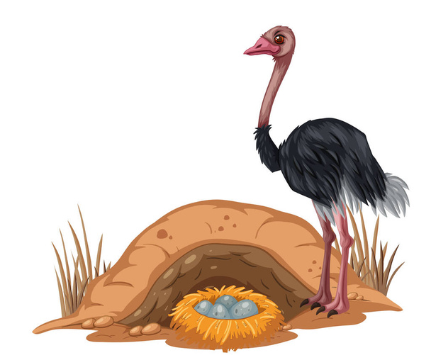 Ostrich a tojás rajzfilm stílusú illusztráció - Vektor, kép