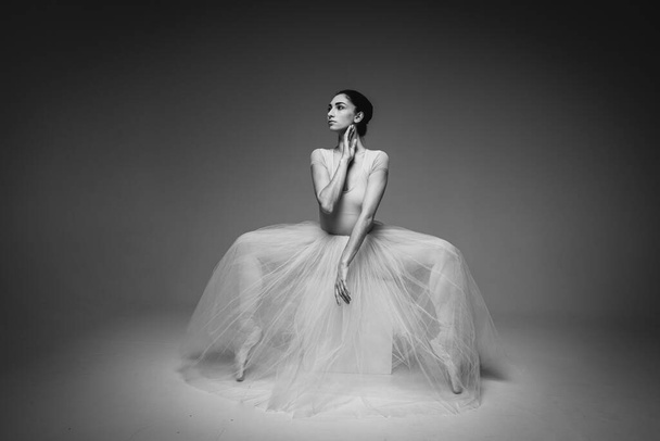 classic black and white portrait, young pretty, fragile, beautiful ballerina dancing in a long pale pink dress with tulle on a uniform background, hand movements, restrained tone. Ballet, dance, dancer. Place for inscription - Valokuva, kuva