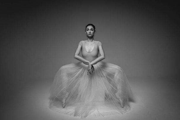 classic black and white portrait, young pretty, fragile, beautiful ballerina dancing in a long pale pink dress with tulle on a uniform background, hand movements, restrained tone. Ballet, dance, dancer. Place for inscription - Foto, imagen