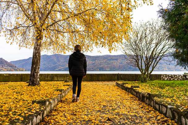 As folhas de outono caíram na mulher sozinha que anda no beco de outono. Paisagem de outono, folhagem laranja em um parque em Orsova, Romênia, 2020 - Foto, Imagem