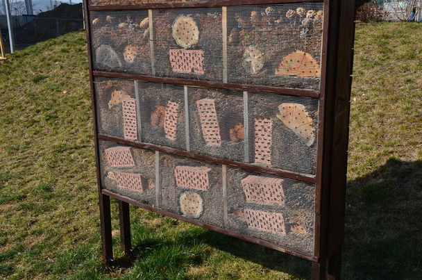 insect nest house located in the park on the meadow. it contains porous natural materials into which insects can lay eggs and pupae. on the side is a watering hole for bees for water shape of plate - Photo, Image