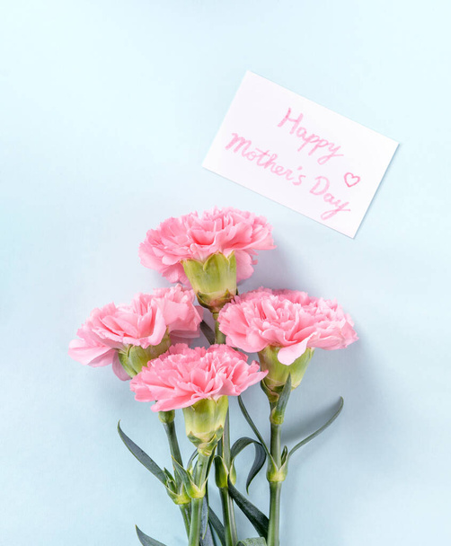 Beautiful fresh blooming baby pink color tender carnations isolated on bright blue background, mothers day thanks design concept,top view,flat lay,copy space,close up,mock up - Фото, зображення
