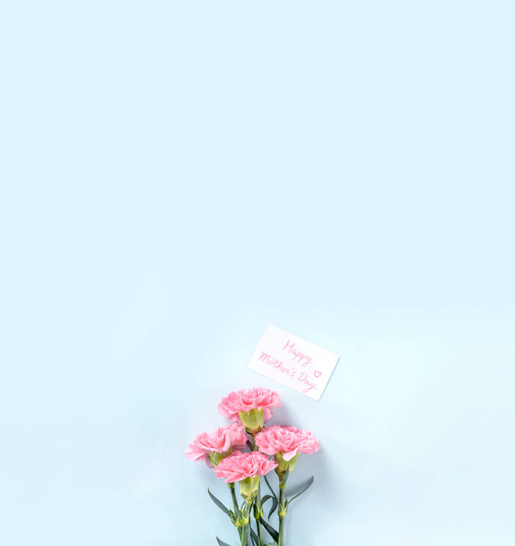 Gyönyörű friss virágzó baby rózsaszín pályázati szegfű világos kék háttér, anyák napi köszönet koncepció, felülnézet, lapos feküdt, elszigetelt másolása hely, közel, sértegetés - Fotó, kép
