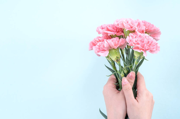 Woman giving bunch of elegance blooming baby pink color tender carnations isolated on pale blue background, mothers day decor design concept, top view, close up, copy space - Фото, изображение