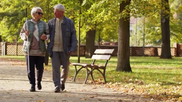 Vanhukset Valkoihoinen mies auttaa sokeaa vaimoaan kävelemään puistossa vammaiset sokeat tukevat ajatusta  - Materiaali, video