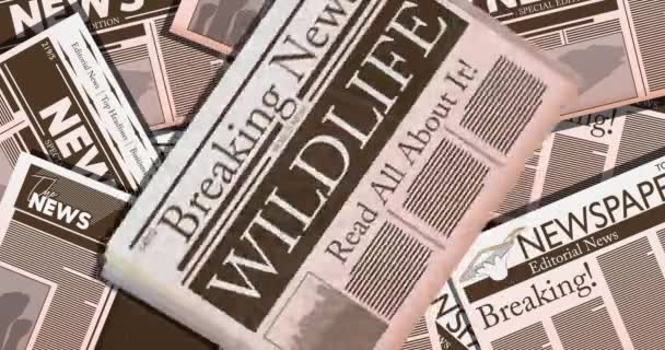 Krant met de tekst Wildlife als kop. 4k resolutie Cartoon animatie. Toon het nieuws van de gedrukte media. - Video