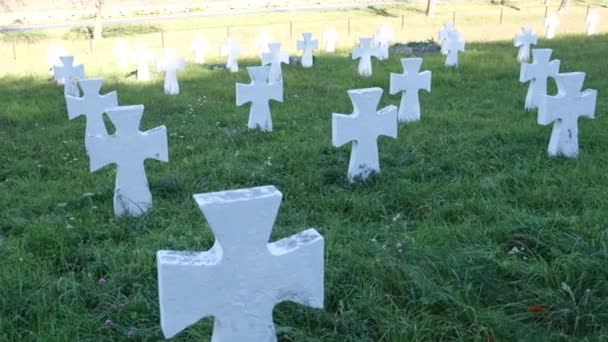 Temető fehér keresztekkel, emlékmű Ukrajna katonáinak a II. világháborúban. - Felvétel, videó