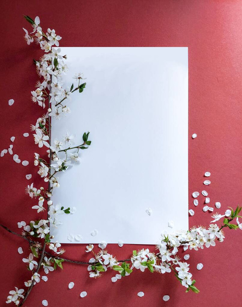Mor arka planda bahar çiçeği çiçekleri kompozisyonu. Düz çerçeve kavramı - Fotoğraf, Görsel