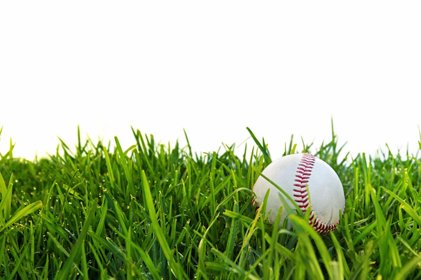 Baseball in Dewy Grass - Фото, зображення