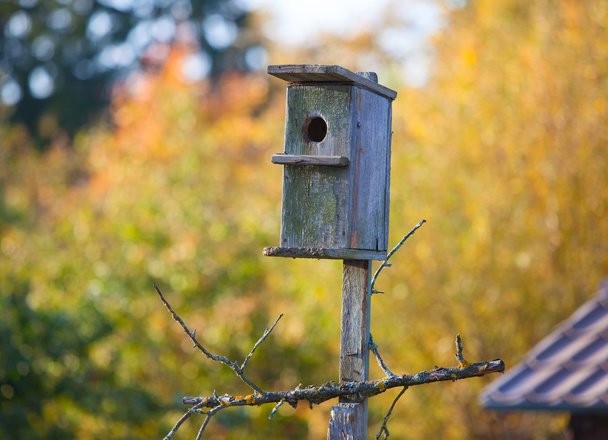 Eski kuş evi - Fotoğraf, Görsel