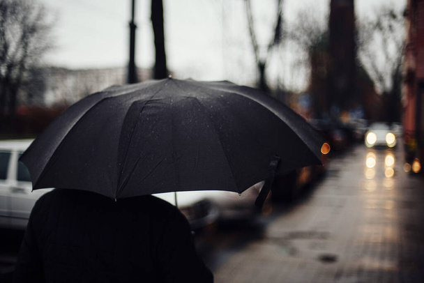 rainy weather, rain, umbrella, autumn, fall, storm, - Zdjęcie, obraz