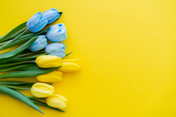 Top view of bouquet of yellow and blue tulips on background with copy space - Foto, afbeelding