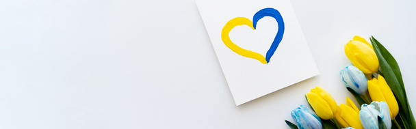 Top view of blue and yellow flowers near card with painted heart sign on white background, banner  - Fotografie, Obrázek