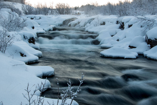 beautiful river in winter forest - Foto, imagen