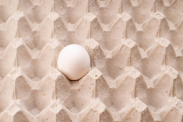 Raw white egg in a package close-up. Lone chicken egg in a tray - Φωτογραφία, εικόνα