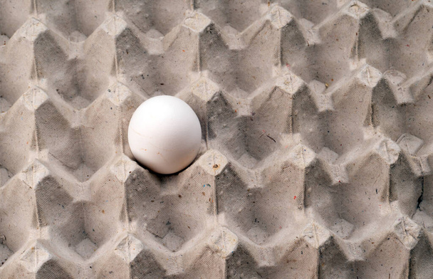 Yakın plan bir pakette çiğ beyaz yumurta. Yalnız tavuk yumurtası tepside - Fotoğraf, Görsel