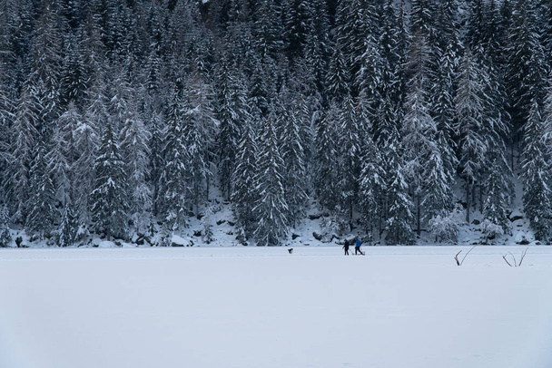 winter landscape with snow covered trees - Fotó, kép