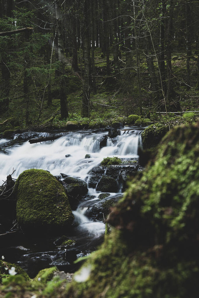 beautiful waterfall in the forest - Фото, зображення