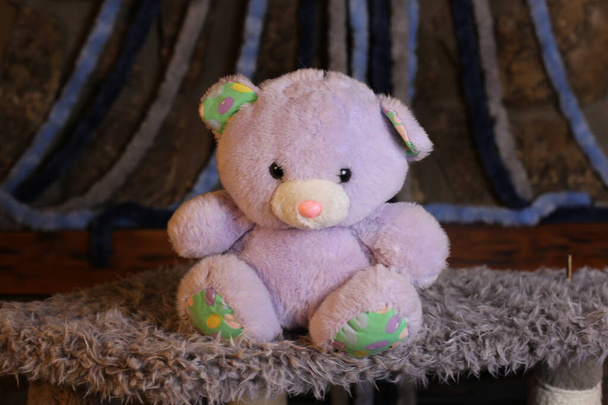 zblízka záběr růžový medvídek měkké hračky - Fotografie, Obrázek