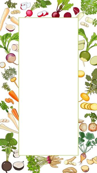 Vertikální pravoúhlý prapor s mrkví, řepou salátovou, celerem řapíkatou, petrželí, Daikonem, pastinákem, Rutabagou, vodnicí, žlutou vodnicí, Arracachou, Macou a červenou, černou, čínskou ředkví. Šablona. Vektorová ilustrace - Vektor, obrázek