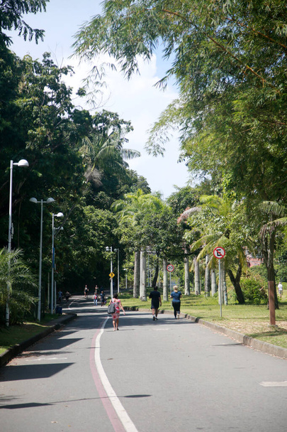 salvador, bahia, brazil - january 28, 2022: View of Parque da Cidade in Salvador. - Photo, image
