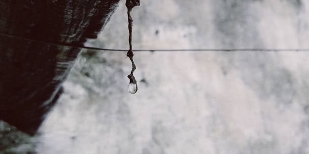 icicles hanging on a rope - Fotografie, Obrázek