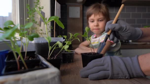 Moeder tonen haar dochter hoe te zorgen voor planten - Video