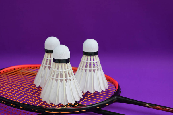 White cream badminton shuttlecocks and rackets on purple floor in indoor badminton court, copy space, badminton sport lover and endurance sport concept. - Foto, Imagen