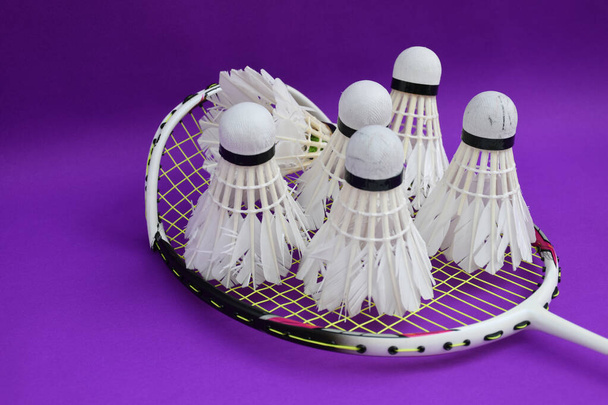 Badminton mekik penisleri ve kapalı badminton kortunun menekşe zemininde kırık çerçeve raketi kullanıldı. Dünyadaki en dayanıklı badminton aşıkları konsepti.. - Fotoğraf, Görsel