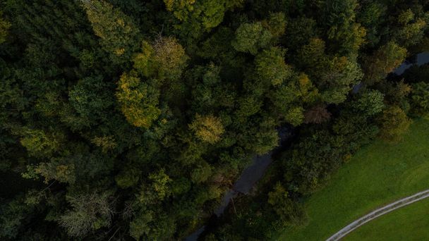 aerial view of the forest and the river in the morning - Foto, Imagen