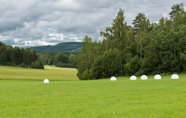 Άποψη της σουηδικής υπαίθρου γύρω από Segersta με Γεωργικά χωράφια, δέντρα, γρασίδι και σιτοβολώνες, Segersta, Σουηδία - Φωτογραφία, εικόνα