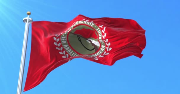 Flag of the Combat Groups of the Working Class. Loop - Кадры, видео