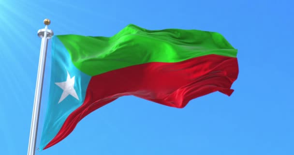 Flaga Armii Wyzwolenia Balochistanu. Pętla - Materiał filmowy, wideo