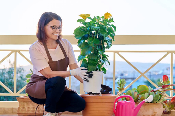 Woman planting caring for a house plant in a pot, on the terrace - Foto, Imagen