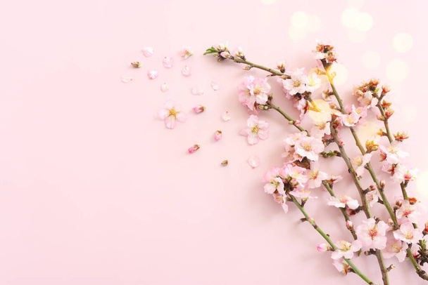 image of spring white cherry blossoms tree over pink pastel background - Φωτογραφία, εικόνα