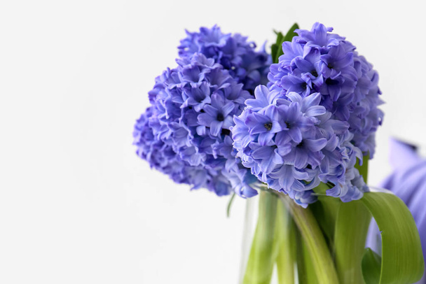 Vase with beautiful hyacinth flowers on white background, closeup - Zdjęcie, obraz
