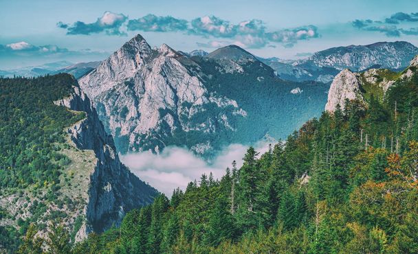 Пейзаж в горах з сосновими деревами і скелястими вершинами гір
 - Фото, зображення
